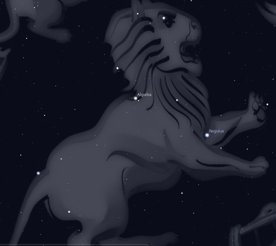 lion.jpg
