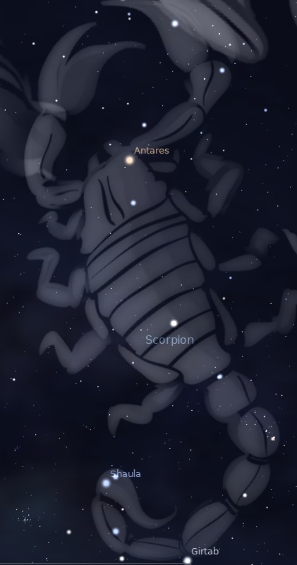 scorpion.jpg