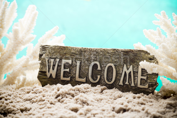 bienvenue