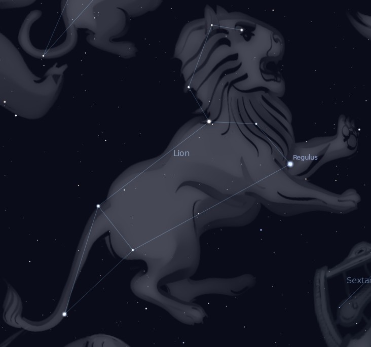 lion.jpg