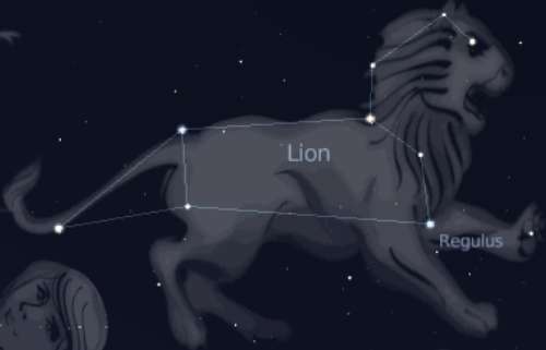 lion.jpg