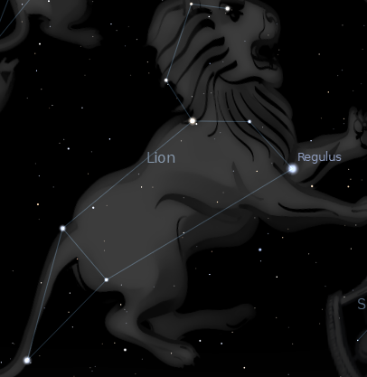 Lion.PNG