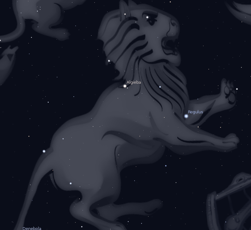 lion.PNG