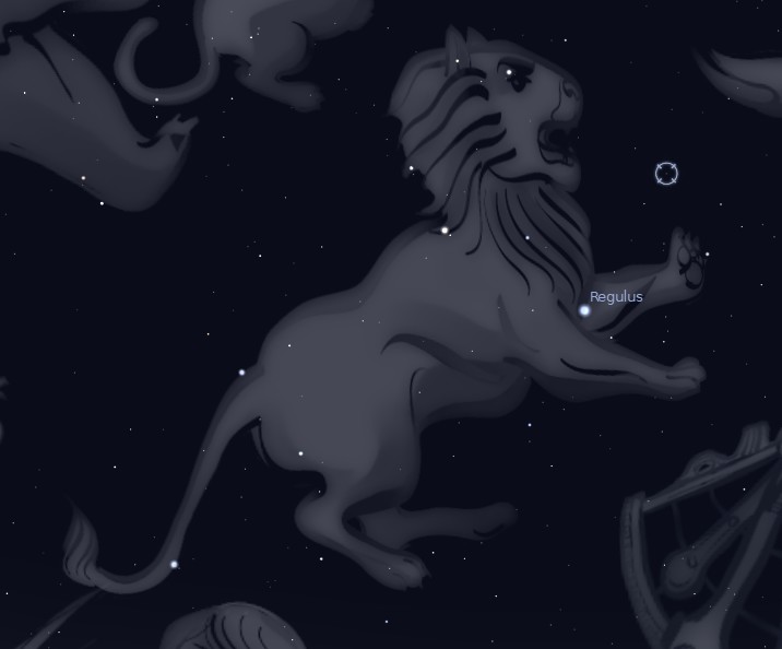 lion.jpg