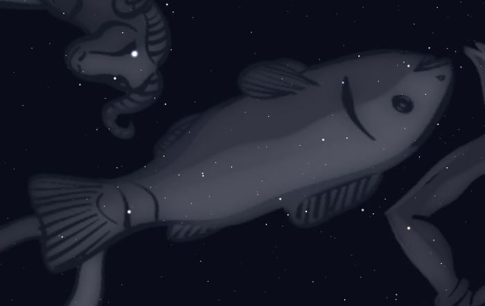 poisson.jpg