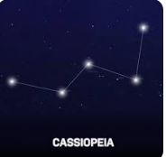 cassiopea.png