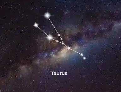 taurus.png