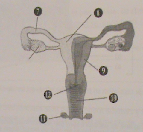 46b 46b.jpg
